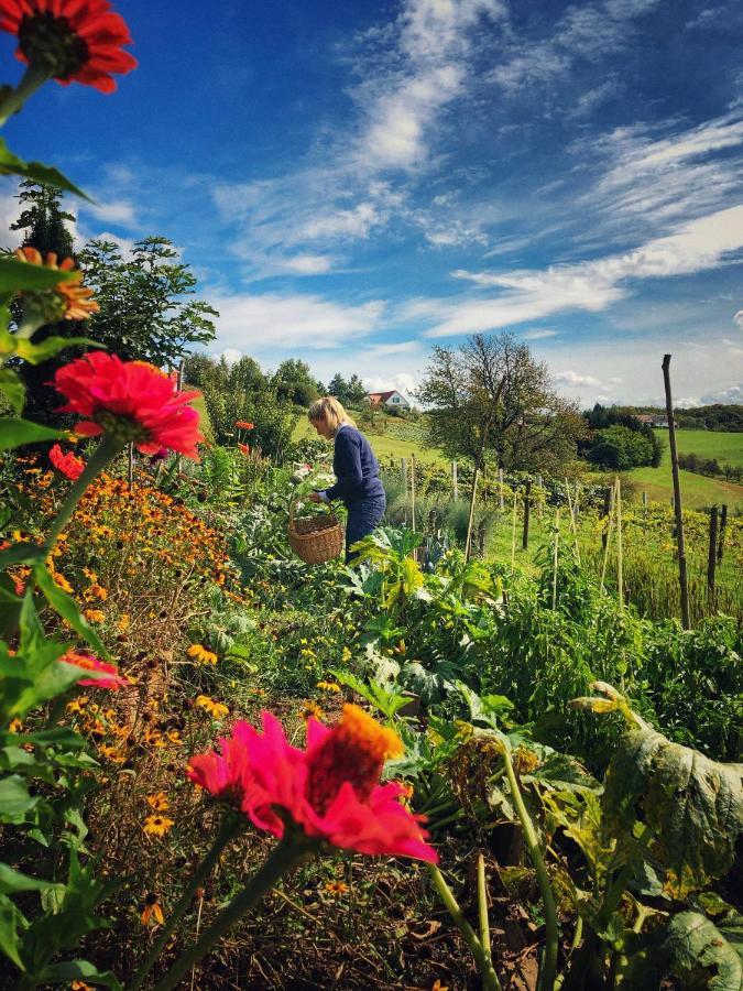 Landhaus Schaller Im Suedburgenland Maria Bild Εξωτερικό φωτογραφία
