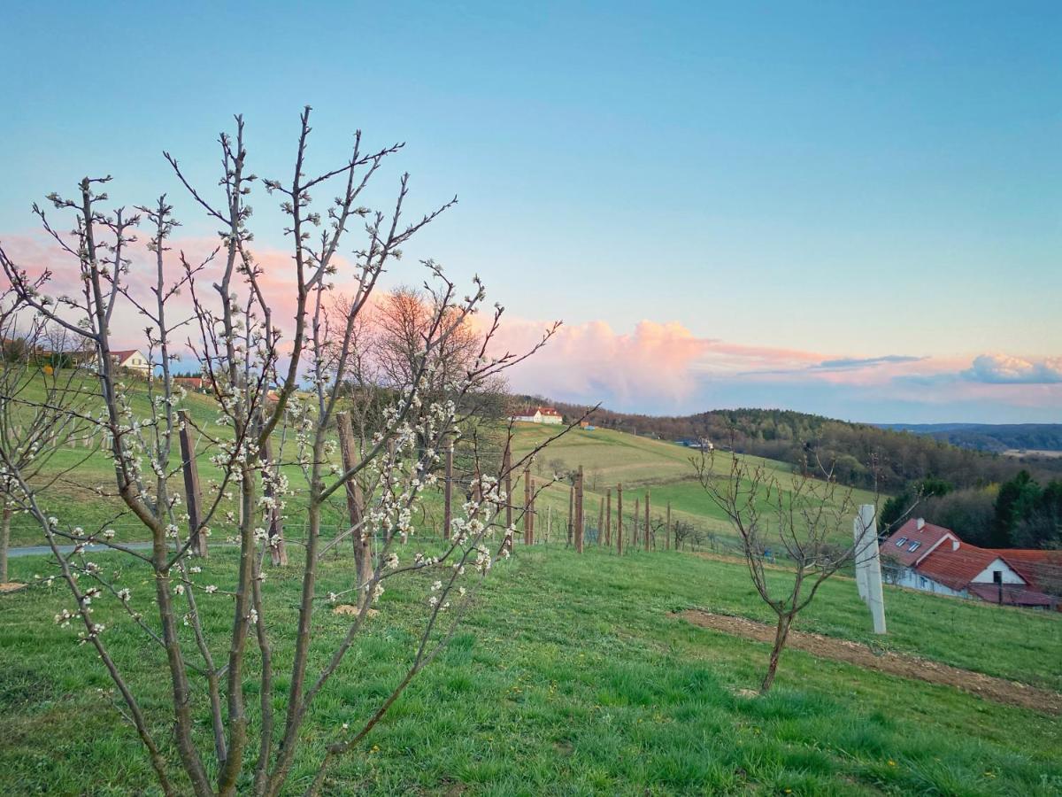 Landhaus Schaller Im Suedburgenland Maria Bild Εξωτερικό φωτογραφία